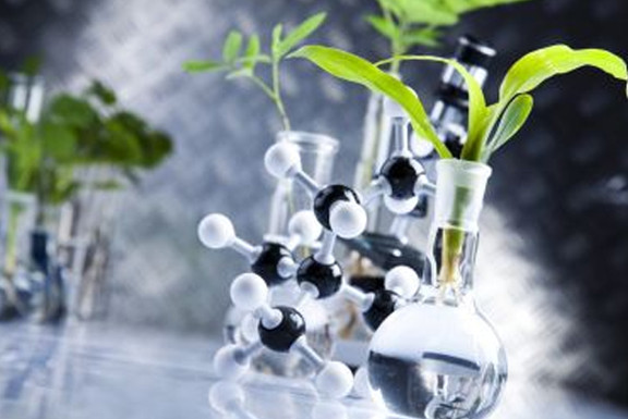 PA�콢����(�й�)�ٷ���վ