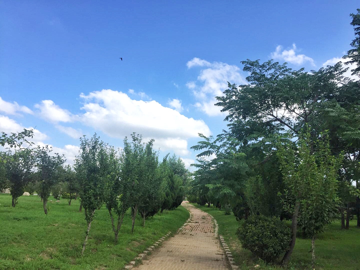 PA�콢����(�й�)�ٷ���վ