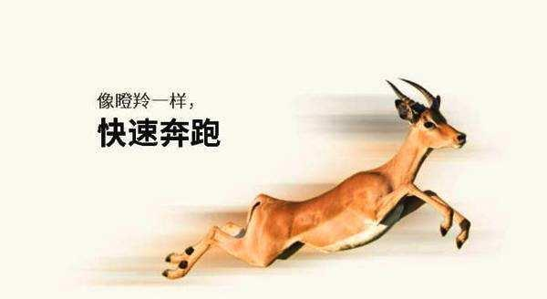 PA�콢����(�й�)�ٷ���վ